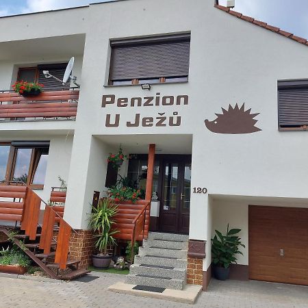 Penzion U Jezu - Ubytovani Pasohlávky Extérieur photo