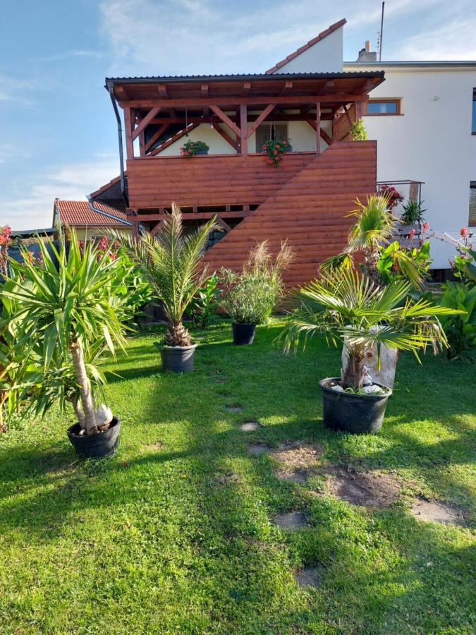 Penzion U Jezu - Ubytovani Pasohlávky Extérieur photo