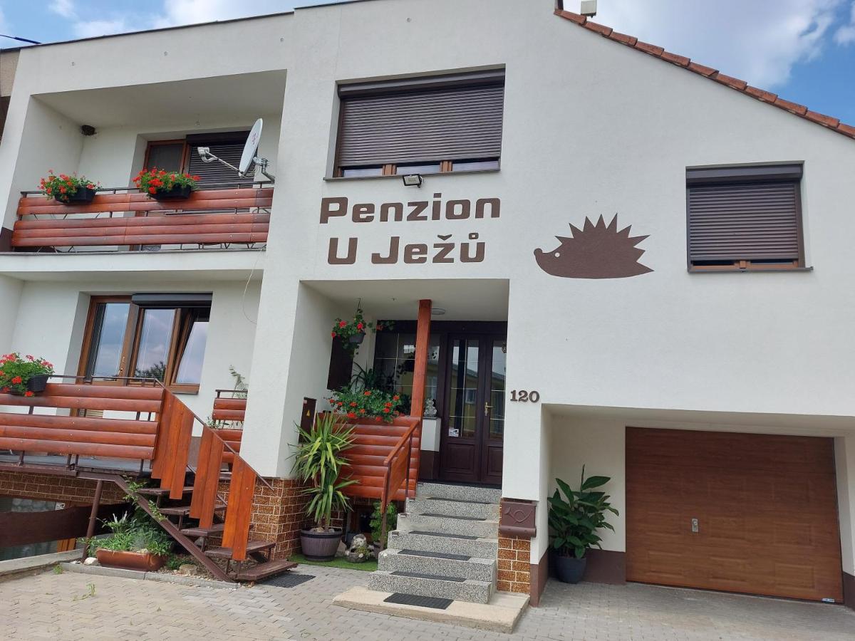 Penzion U Jezu - Ubytovani Pasohlávky Extérieur photo