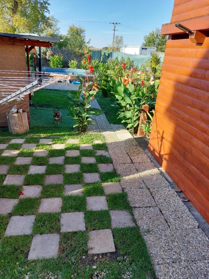 Penzion U Jezu - Ubytovani Pasohlávky Extérieur photo